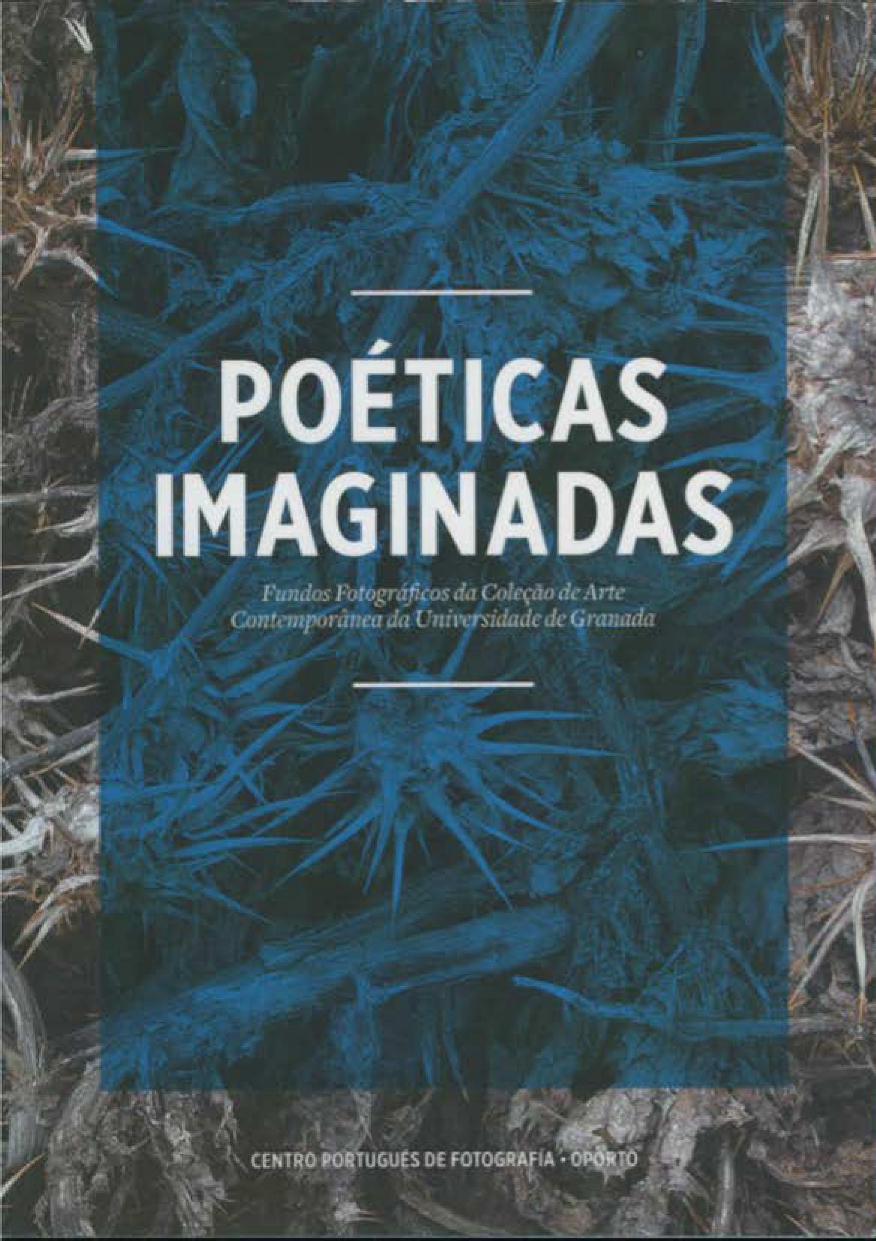 Imagen de portada de «Poéticas imaginadas». Fondos fotográficos de la Colección de Arte Contemporáneo de la UGR