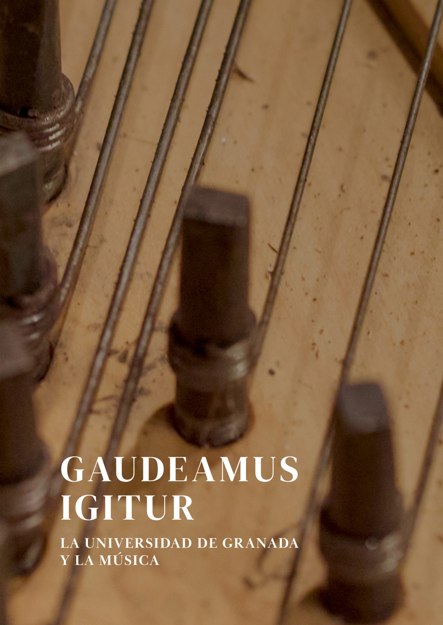 Imagen de portada de Gaudeamus Igitur. La Universidad de Granada y la Música