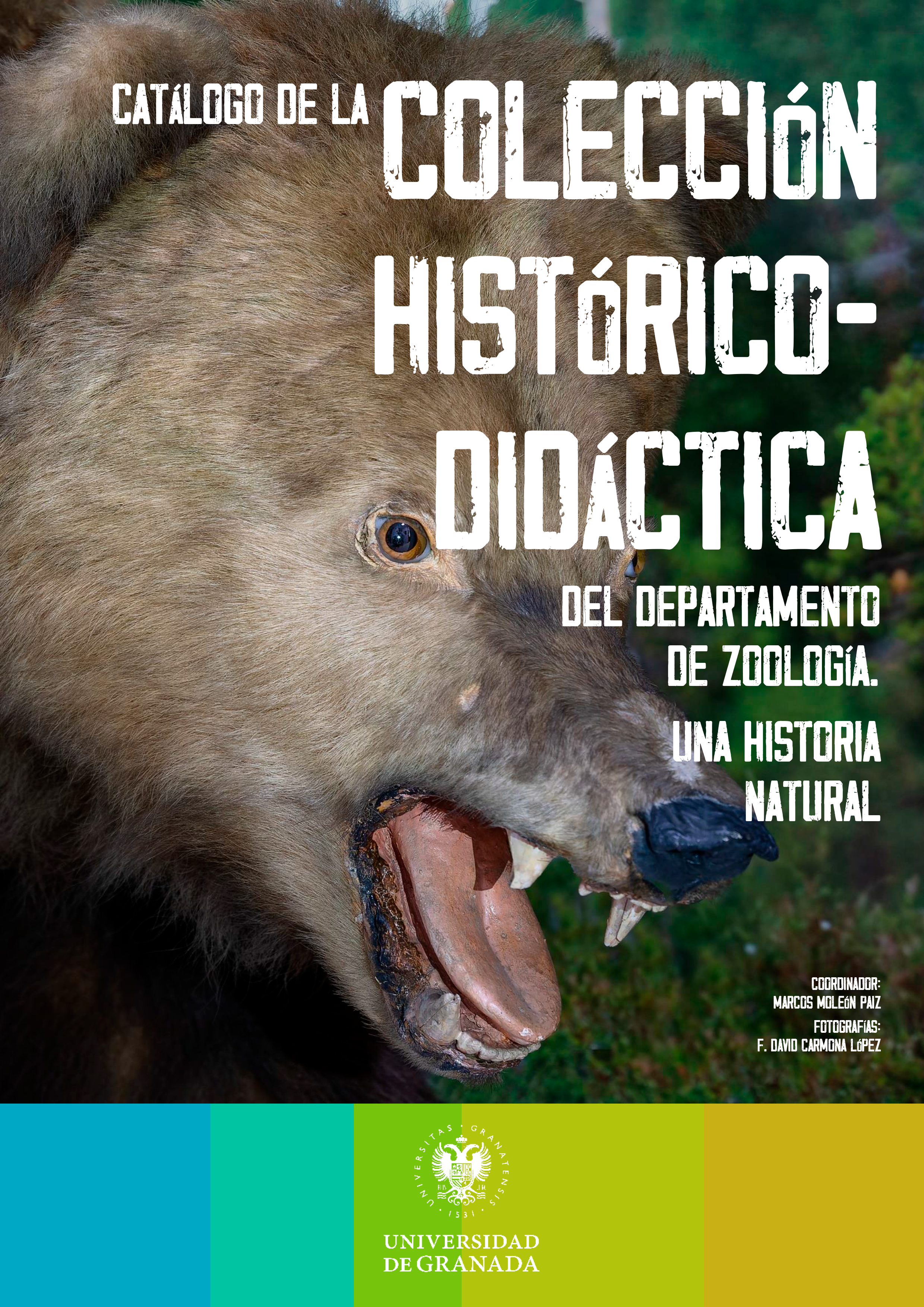 Imagen de portada de Catálogo de la Colección histórico-didáctica del Departamento de Zoología. Una historia natural